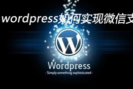 wordpress如何实现微信支付