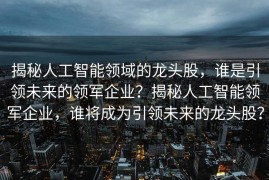 揭秘人工智能领域的龙头股，谁是引领未来的领军企业？揭秘人工智能领军企业，谁将成为引领未来的龙头股？