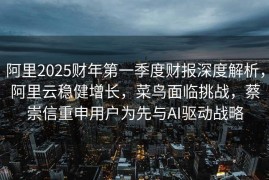 阿里2025财年第一季度财报深度解析，阿里云稳健增长，菜鸟面临挑战，蔡崇信重申用户为先与AI驱动战略