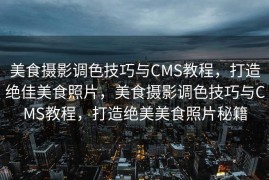 美食摄影调色技巧与CMS教程，打造绝佳美食照片，美食摄影调色技巧与CMS教程，打造绝美美食照片秘籍