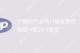 宁德时代公布H股发售价：每股H股263港元