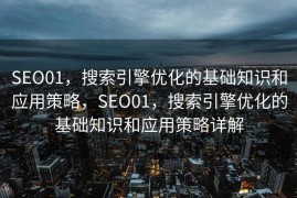 SEO01，搜索引擎优化的基础知识和应用策略，SEO01，搜索引擎优化的基础知识和应用策略详解
