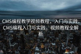 CMS编程教学视频教程，入门与实践，CMS编程入门与实践，视频教程全解析