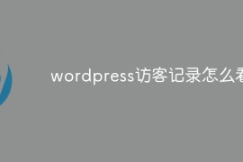 wordpress访客记录怎么看