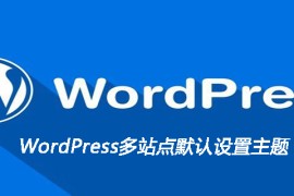 WordPress多站点默认设置主题
