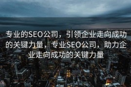 专业的SEO公司，引领企业走向成功的关键力量，专业SEO公司，助力企业走向成功的关键力量