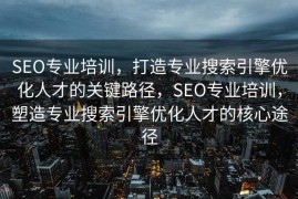 SEO专业培训，打造专业搜索引擎优化人才的关键路径，SEO专业培训，塑造专业搜索引擎优化人才的核心途径