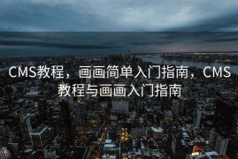 CMS教程，画画简单入门指南，CMS教程与画画入门指南