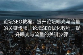 论坛SEO教程，提升论坛曝光与流量的关键步骤，论坛SEO优化教程，提升曝光与流量的关键步骤