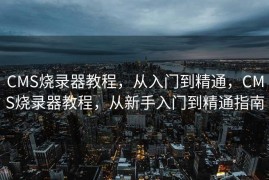 CMS烧录器教程，从入门到精通，CMS烧录器教程，从新手入门到精通指南