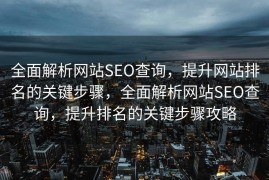 全面解析网站SEO查询，提升网站排名的关键步骤，全面解析网站SEO查询，提升排名的关键步骤攻略