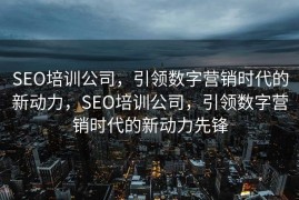 SEO培训公司，引领数字营销时代的新动力，SEO培训公司，引领数字营销时代的新动力先锋