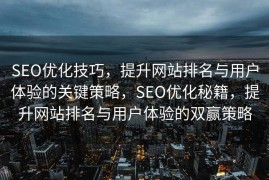 SEO优化技巧，提升网站排名与用户体验的关键策略，SEO优化秘籍，提升网站排名与用户体验的双赢策略