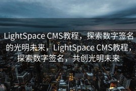 LightSpace CMS教程，探索数字签名的光明未来，LightSpace CMS教程，探索数字签名，共创光明未来
