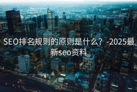 SEO排名规则的原则是什么？-2025最新seo资料