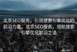 北京SEO服务，引领搜索引擎优化的前沿力量，北京SEO服务，领航搜索引擎优化前沿之道