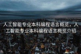 人工智能专业本科编程语言概览，人工智能专业本科编程语言概览介绍