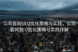 公司官网SEO优化策略与实践，公司官网SEO优化策略与实践详解