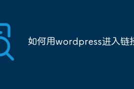 如何用wordpress进入链接