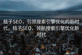 桔子SEO，引领搜索引擎优化的新时代，桔子SEO，领航搜索引擎优化新时代