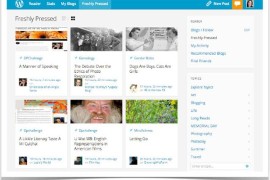 在 WordPress.com 和 WordPress.org 之间进行选择