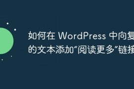 如何在 WordPress 中向复制的文本添加“阅读更多”链接