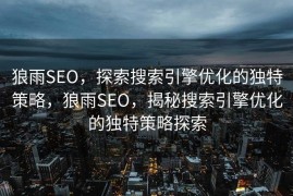 狼雨SEO，探索搜索引擎优化的独特策略，狼雨SEO，揭秘搜索引擎优化的独特策略探索