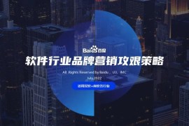 2022软件行业品牌营销攻艰策略-2025最新seo资料