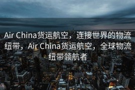 Air China货运航空，连接世界的物流纽带，Air China货运航空，全球物流纽带领航者