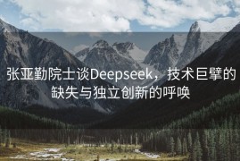 张亚勤院士谈Deepseek，技术巨擘的缺失与独立创新的呼唤