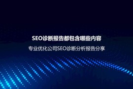 SEO诊断报告都包含哪些内容？专业优化公司SEO诊断分析报告分享-2025最新seo资料