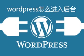 wordpress怎么进入后台