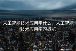 人工智能技术应用学什么，人工智能技术应用学习概览