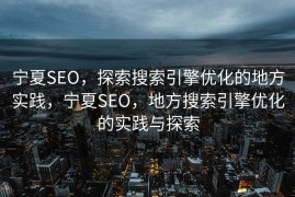 宁夏SEO，探索搜索引擎优化的地方实践，宁夏SEO，地方搜索引擎优化的实践与探索