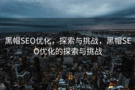黑帽SEO优化，探索与挑战，黑帽SEO优化的探索与挑战