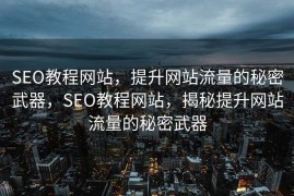 SEO教程网站，提升网站流量的秘密武器，SEO教程网站，揭秘提升网站流量的秘密武器