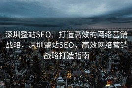 深圳整站SEO，打造高效的网络营销战略，深圳整站SEO，高效网络营销战略打造指南