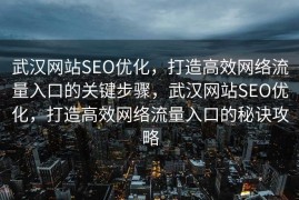 武汉网站SEO优化，打造高效网络流量入口的关键步骤，武汉网站SEO优化，打造高效网络流量入口的秘诀攻略