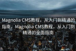 Magnolia CMS教程，从入门到精通的指南，Magnolia CMS教程，从入门到精通的全面指南
