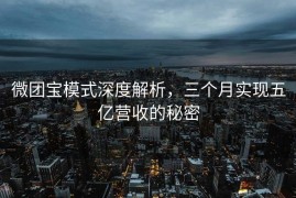 微团宝模式深度解析，三个月实现五亿营收的秘密