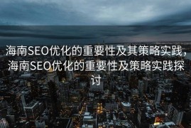 海南SEO优化的重要性及其策略实践，海南SEO优化的重要性及策略实践探讨