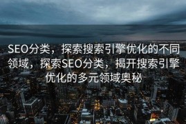 SEO分类，探索搜索引擎优化的不同领域，探索SEO分类，揭开搜索引擎优化的多元领域奥秘