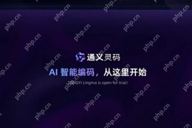 通义灵码怎么感觉越来越难用了
