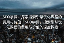 SEO学费，探索搜索引擎优化课程的费用与价值，SEO学费，搜索引擎优化课程的费用与价值的深度探索