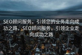 SEO顾问服务，引领您的业务走向成功之路，SEO顾问服务，引领企业走向成功之路
