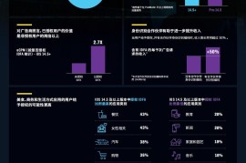 PubMatic IDFA授权现状研究报告：目标受众定位技术助力提升广告效果-2025最新seo资料