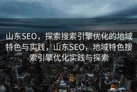 山东SEO，探索搜索引擎优化的地域特色与实践，山东SEO，地域特色搜索引擎优化实践与探索
