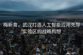 梅新育，武汉打造人工智能应用先导实验区的战略构想