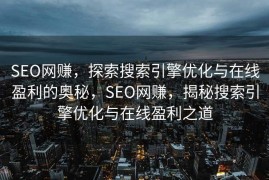 SEO网赚，探索搜索引擎优化与在线盈利的奥秘，SEO网赚，揭秘搜索引擎优化与在线盈利之道