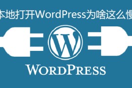 本地打开WordPress为啥这么慢